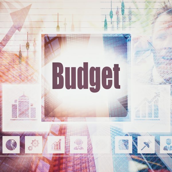 Business Budget concept button on a coloured background