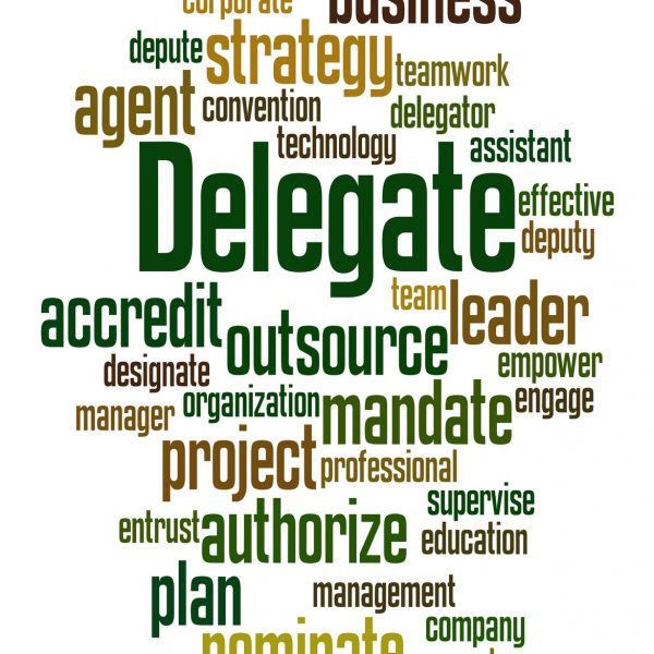 Delegate, word cloud concept on white background.