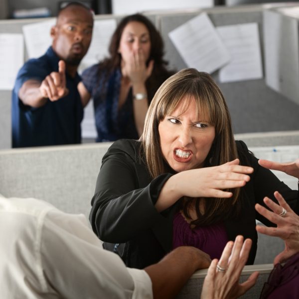 Two female coworkers fight in office cubicle
